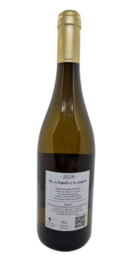 VIOGNIER 2024