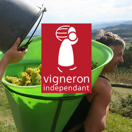 Vigneron indépendant en Savoie