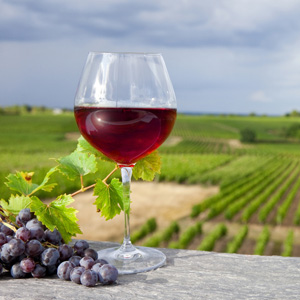 Vin Rouge IGP Vins des Allobroges - Savoie (73)