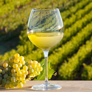 Vin Blanc IGP Vins des Allobroges - Savoie (73)