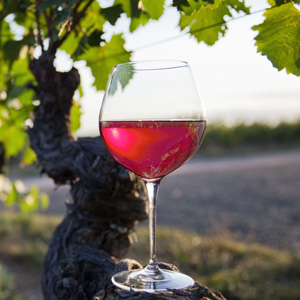 Vin Rosé IGP Vins des Allobroges - Savoie (73)